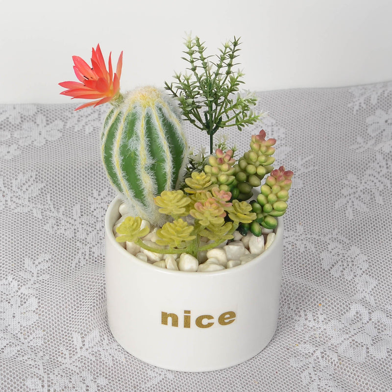 Artificial Potted Succulents 12 Pcs Bulk Set in Pots, Green Faux Plants for Home Decor