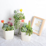 Artificial Potted Succulents 12 Pcs Bulk Set in Pots, Green Faux Plants for Home Decor