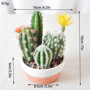 Artificial Potted Succulents 12 Pcs Bulk Set in Pots, Green Faux Plants for Home Decor