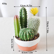 Artificial Potted Succulents 12 Pcs Bulk Set in Pots, Green Faux Plants for Home Decor
