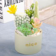 Artificial Potted Succulents 12 Pcs Bulk Set in Pots, Green Faux Plants for Home Decor