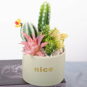 Artificial Potted Succulents 12 Pcs Bulk Set in Pots, Green Faux Plants for Home Decor