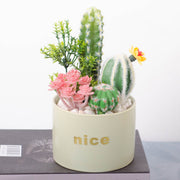 Artificial Potted Succulents 12 Pcs Bulk Set in Pots, Green Faux Plants for Home Decor