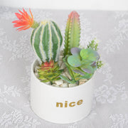 Artificial Potted Succulents 12 Pcs Bulk Set in Pots, Green Faux Plants for Home Decor