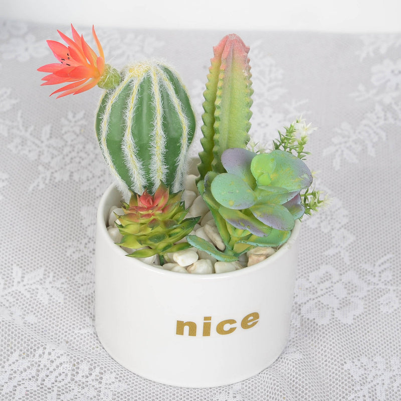 Artificial Potted Succulents 12 Pcs Bulk Set in Pots, Green Faux Plants for Home Decor