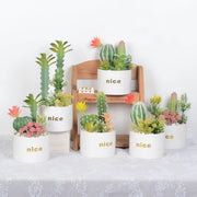 Artificial Potted Succulents 12 Pcs Bulk Set in Pots, Green Faux Plants for Home Decor