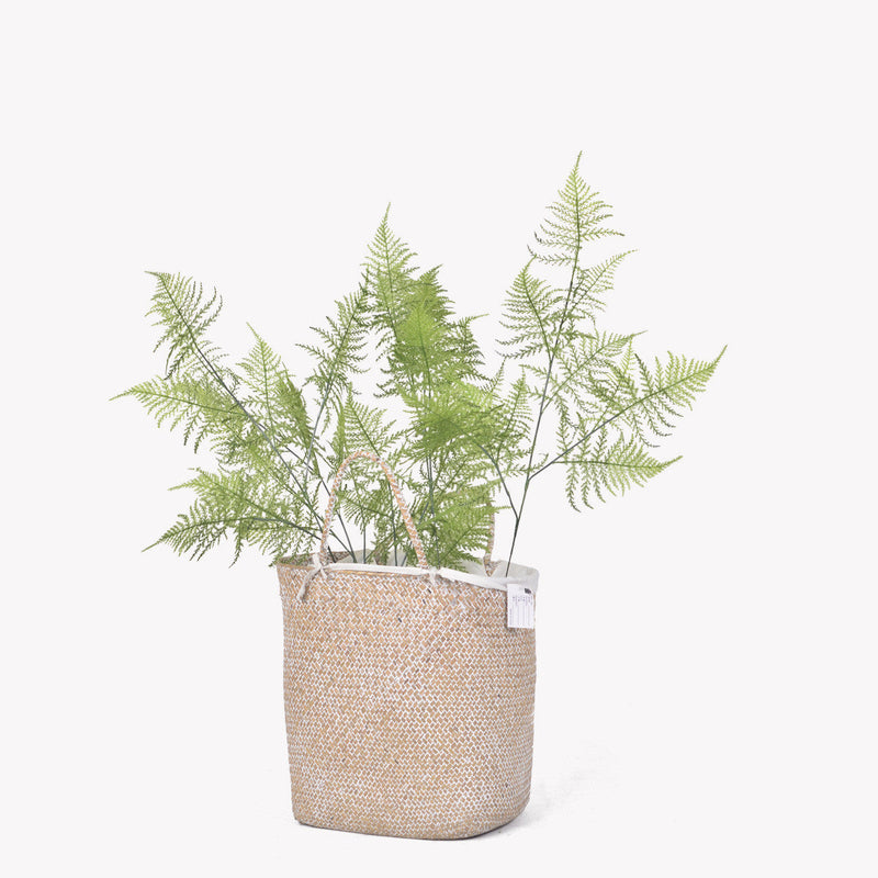 48 Inch Artificial Asparagus Fern Stems Bulk Extra Tall 48" 10 Pcs Silk Plants