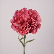 19.6 Inch Real Touch Artificial Carnations - Lifelike Silk Flowers for Wedding and Home Decor