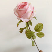 50 Pcs 24 Inch Autumn Rose Stems Artificial Silk Flowers