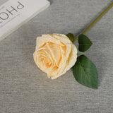 Bulk Artificial Silk Flowers Purchase of 11-Inch Autumn Burnt Edge Rose Stems Wholesale