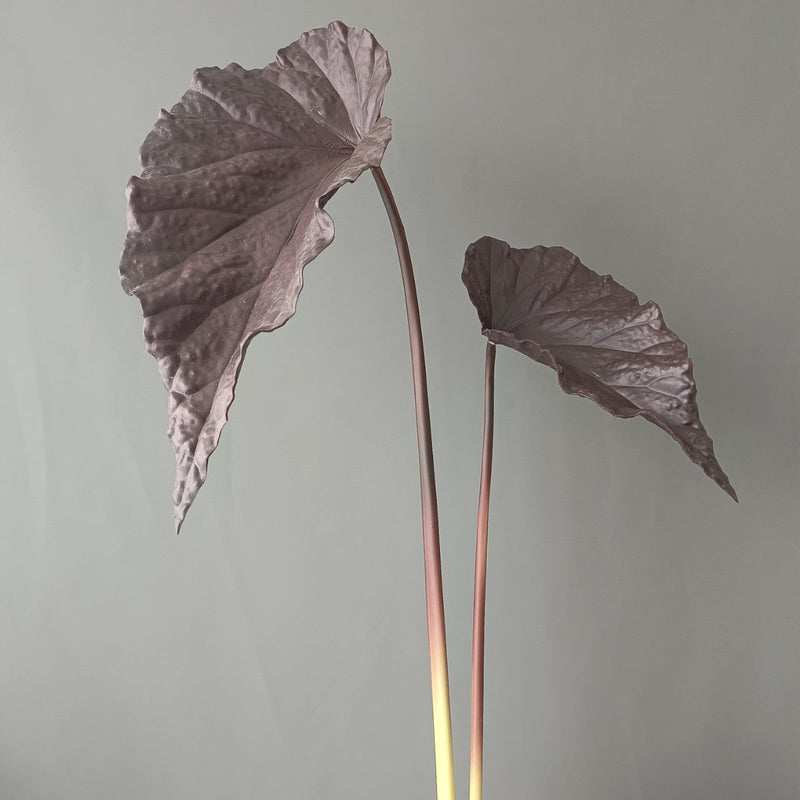 Autumn Tropical Leaves Stems 12 Inch Artificial Fall Decorations Bulk 10 Pcs
