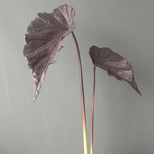 Autumn Tropical Leaves Stems 12 Inch Artificial Fall Decorations Bulk 10 Pcs