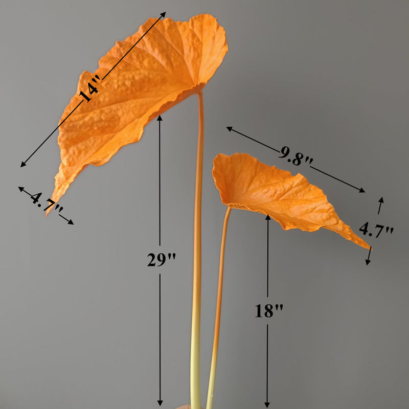 Autumn Tropical Leaves Stems 12 Inch Artificial Fall Decorations Bulk 10 Pcs