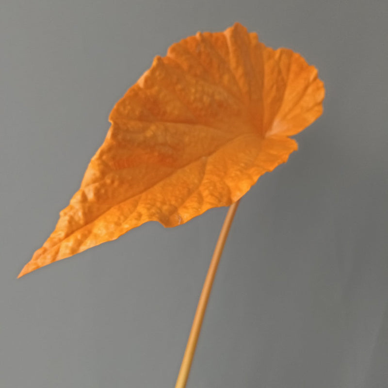 Autumn Tropical Leaves Stems 12 Inch Artificial Fall Decorations Bulk 10 Pcs
