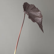 Autumn Tropical Leaves Stems 12 Inch Artificial Fall Decorations Bulk 10 Pcs