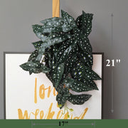 10 Pcs Artificial Trailing Hosta Bush Plants 12 Inch Lifelike Hanging Green Foliage