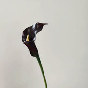 25.5 Inch Artificial Calla Lilies Long Stems Real Touch Bulk 10 Pcs Silk Flowers