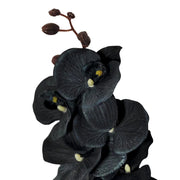 10 Pcs Artificial Black Phalaenopsis Orchid Stems 18 Inch Halloween Flower Arrangements Bulk
