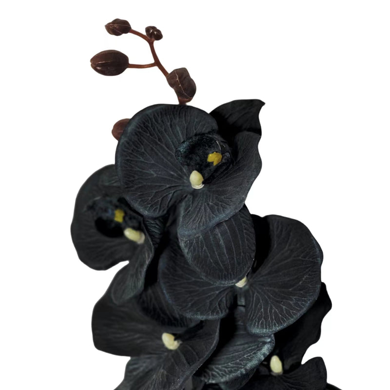 10 Pcs Artificial Black Phalaenopsis Orchid Stems 18 Inch Halloween Flower Arrangements Bulk