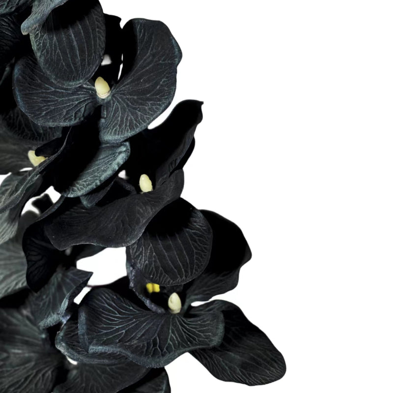 10 Pcs Artificial Black Phalaenopsis Orchid Stems 18 Inch Halloween Flower Arrangements Bulk