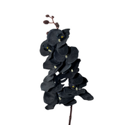 10 Pcs Artificial Black Phalaenopsis Orchid Stems 18 Inch Halloween Flower Arrangements Bulk