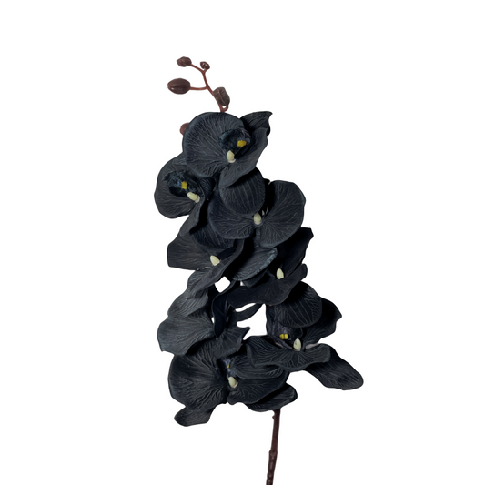 10 Pcs Artificial Black Phalaenopsis Orchid Stems 18 Inch Halloween Flower Arrangements Bulk
