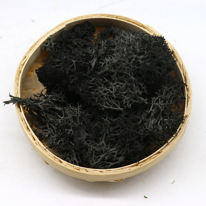 1.7 Ounce Preserved Moss for Crafts Vase Filler Table Centerpieces Fairy Garden Wedding Decor Bulk Quantity