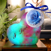 2 Pcs Preserved Rose Keychain with Heart Plush and LED Light Valentine's Day Gift