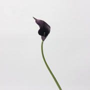 10 Pcs Artificial Calla Lily Stems 18 Inch Real Touch Silk Flowers Bulk Wholesale