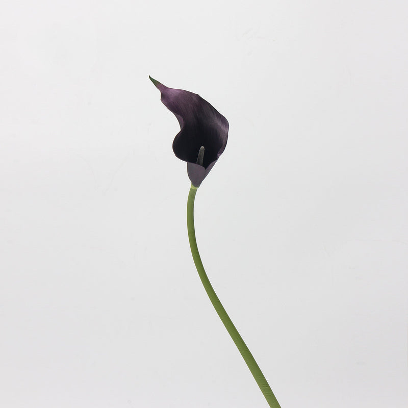 10 Pcs Artificial Calla Lily Stems 18 Inch Real Touch Silk Flowers Bulk Wholesale