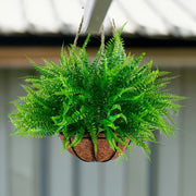Boston Fern Hanging Topiary Baskets, Artificial, Bulk Quantity for Outdoor Decor