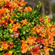 24 Bundles Artificial Spring Daisy Flowers with Greenery, UV Resistant, Outdoor Durable