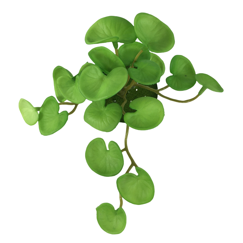 6 Inch Pennywort Stem 10 Pcs Artificial Lucky Hydrocotyle Vulgaris Greenery Plant