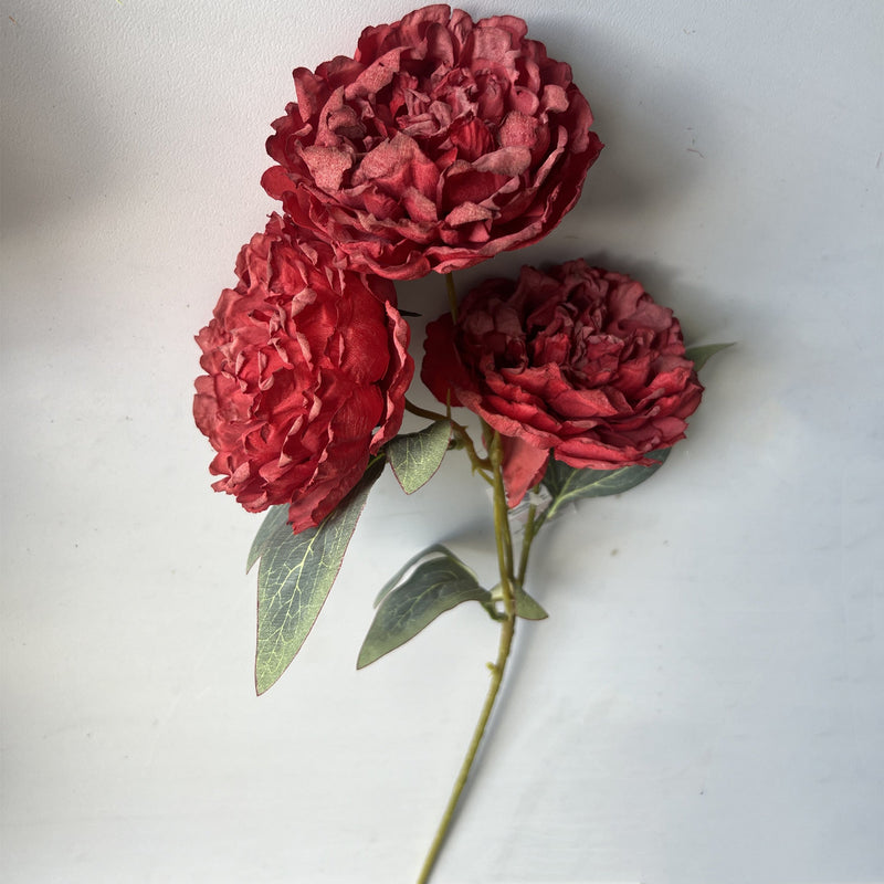 50 Pcs 25 Inch Burnt Edge Peony Stems with 3 Heads Artificial Autumn Flower Branches