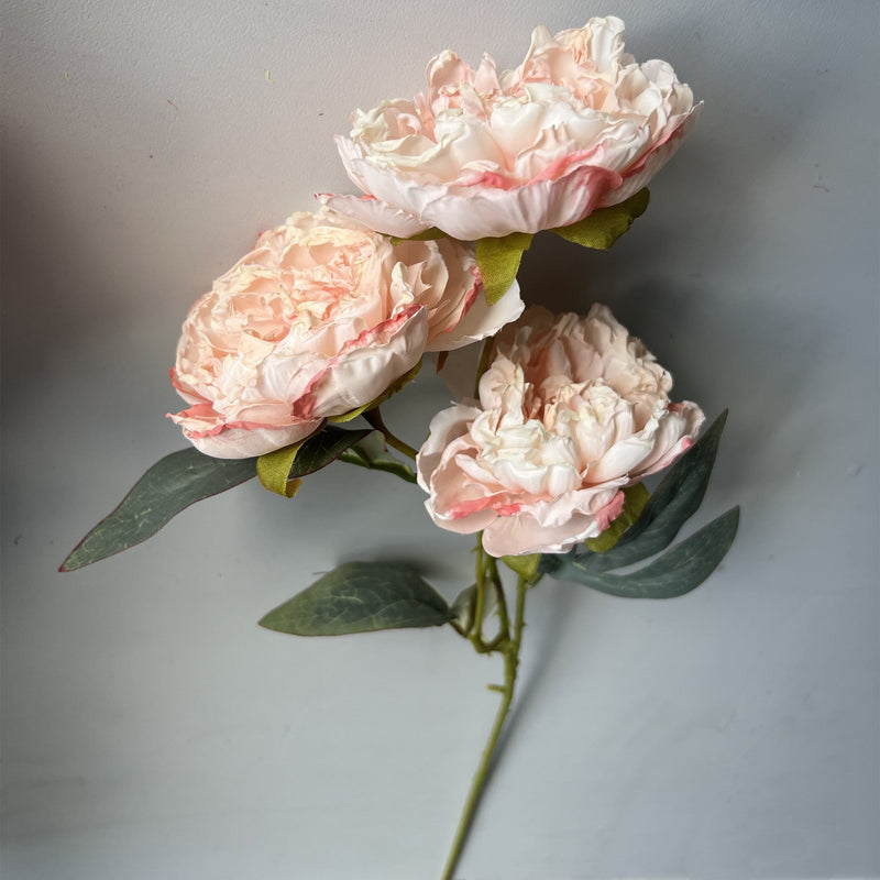 50 Pcs 25 Inch Burnt Edge Peony Stems with 3 Heads Artificial Autumn Flower Branches