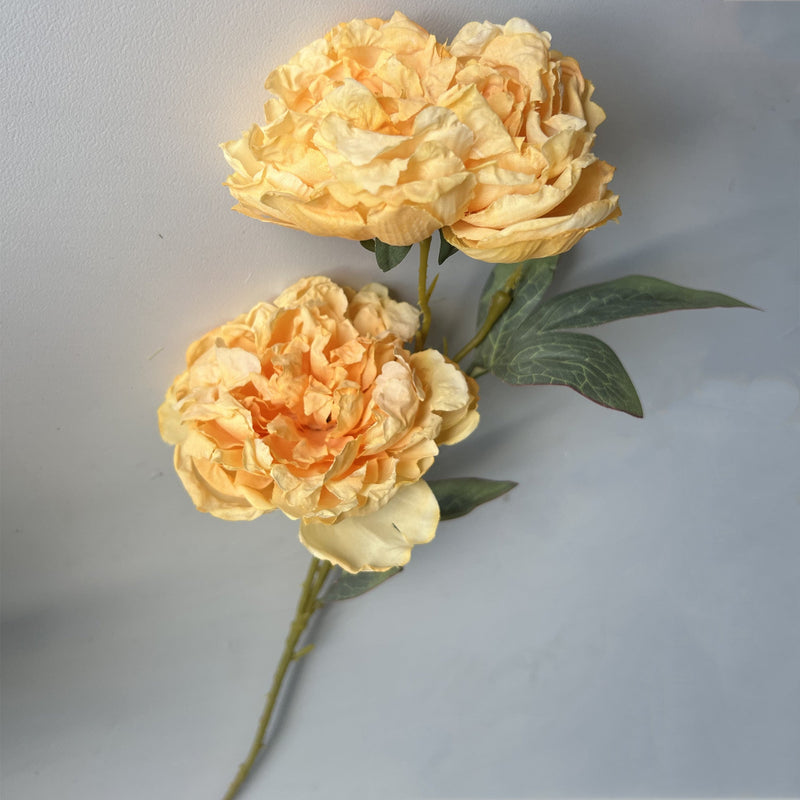 50 Pcs 25 Inch Burnt Edge Peony Stems with 3 Heads Artificial Autumn Flower Branches