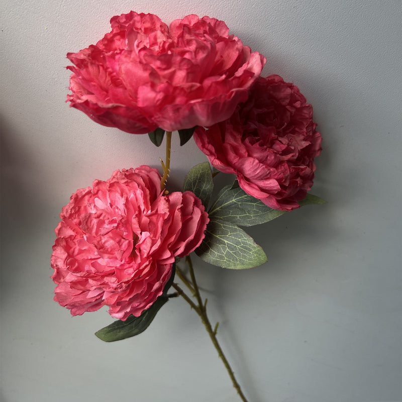 50 Pcs 25 Inch Burnt Edge Peony Stems with 3 Heads Artificial Autumn Flower Branches