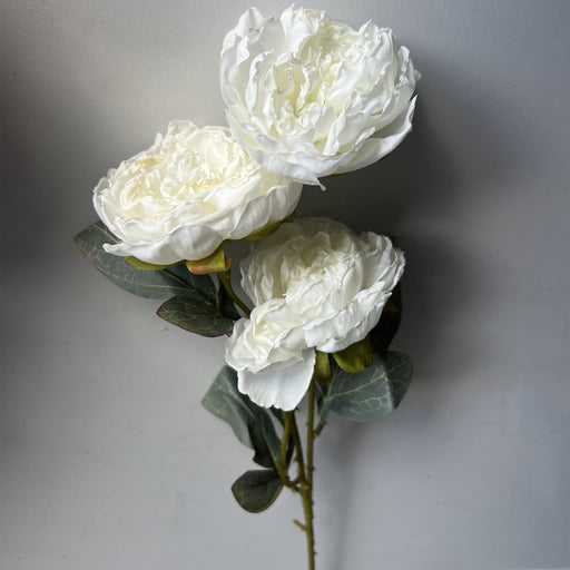 50 Pcs 25 Inch Burnt Edge Peony Stems with 3 Heads Artificial Autumn Flower Branches