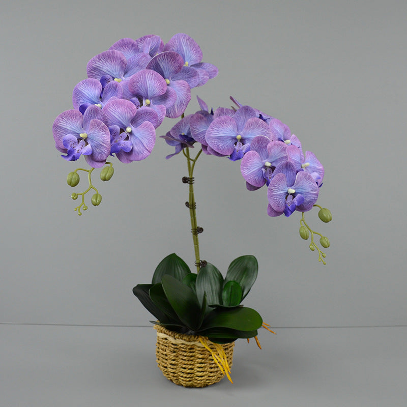 Bulk 16 Colors Real Touch Phalaenopsis Orchid Stems Extra Long Floral Wholesale