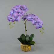 3 Pcs 37 Inch Extra Long Phalaenopsis Orchid Stems Artificial Silk Flowers