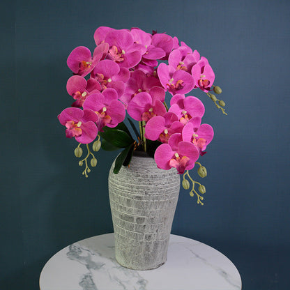 Bulk 16 Colors Real Touch Phalaenopsis Orchid Stems Extra Long Floral Wholesale