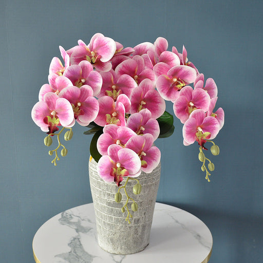 3 Pcs 37 Inch Extra Long Phalaenopsis Orchid Stems Artificial Silk Flowers