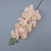 3 Pcs 37 Inch Extra Long Phalaenopsis Orchid Stems Artificial Silk Flowers