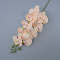 Bulk 16 Colors Real Touch Phalaenopsis Orchid Stems Extra Long Floral Wholesale