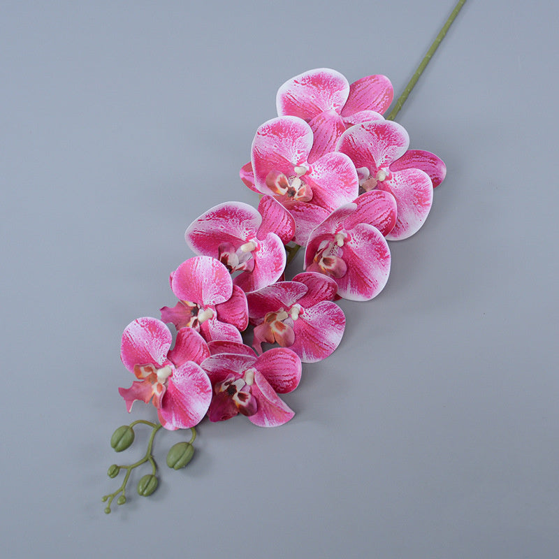 Bulk 16 Colors Real Touch Phalaenopsis Orchid Stems Extra Long Floral Wholesale