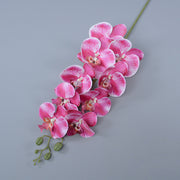 3 Pcs 37 Inch Extra Long Phalaenopsis Orchid Stems Artificial Silk Flowers