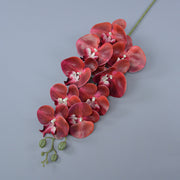 3 Pcs 37 Inch Extra Long Phalaenopsis Orchid Stems Artificial Silk Flowers