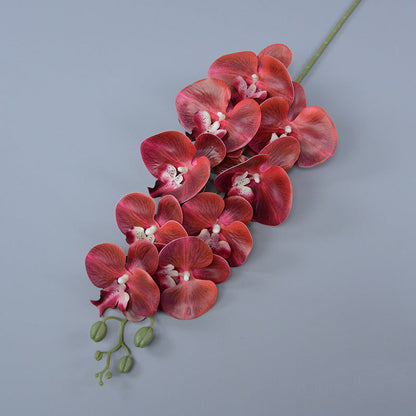 Bulk 16 Colors Real Touch Phalaenopsis Orchid Stems Extra Long Floral Wholesale
