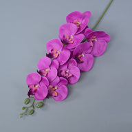 Bulk 16 Colors Real Touch Phalaenopsis Orchid Stems Extra Long Floral Wholesale