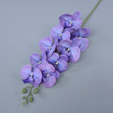 Bulk 16 Colors Real Touch Phalaenopsis Orchid Stems Extra Long Floral Wholesale